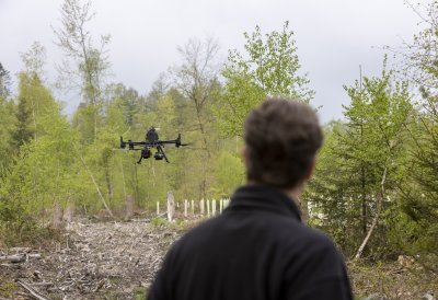 Ministerpräsident Hendrik Wüst: Unser Wald ist Lebensraum und Klimaschützer Nr. 1