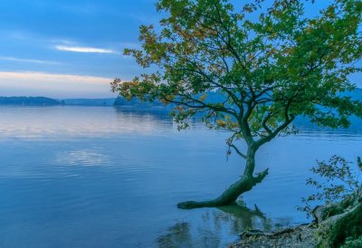 Fotowettbewerb „Lebendige Gewässer in Nordrhein-Westfalen“