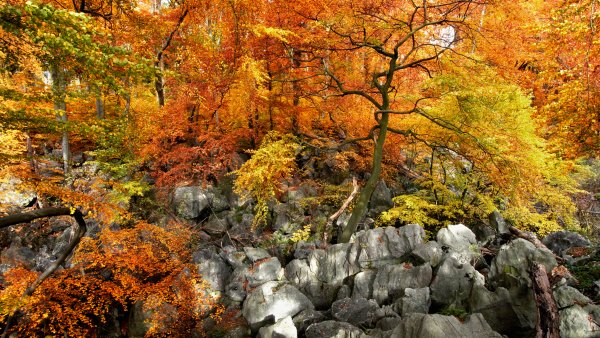 Fotowettbewerb MULNV Platz 1 - 2019