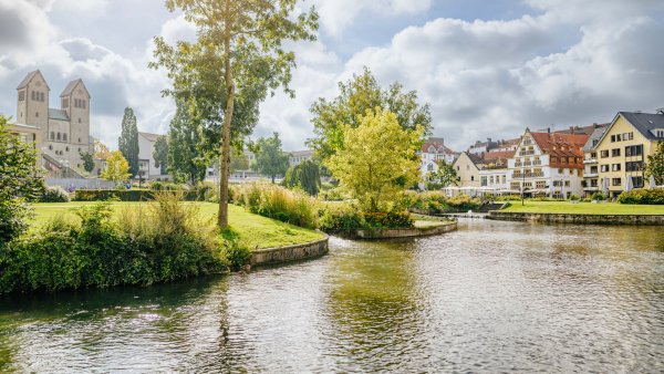 Fluss vor einer grünen Wese mit einer großen Birke, im Hintergrund der Dom zu Paderborn und der Rand der Innenstadt mit Häuser