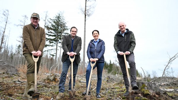 Zum internationalen Tag des Waldes: Ministerin Gorißen pflanzt Wildlinge gemeinsam mit Waldbesitzerinnen und Waldbesitzern ein
