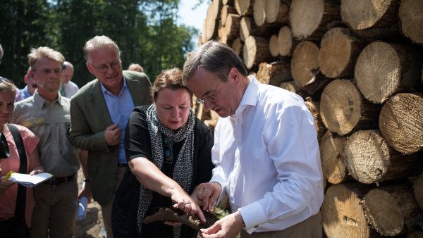 Besuch Königsforster Wald