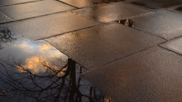 auf einem Bürgersteig spiegeln sich ein Baum und Wolken in einer Pfütze