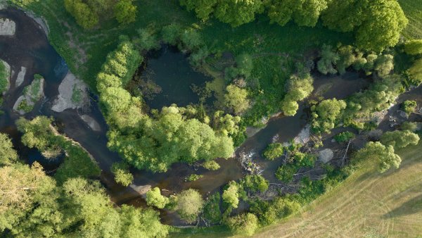 Luftaufnahme der renaturierten oberen Diemel mit naturnahen Flussläufen, kleinen Gewässern, Ufervegetation und angrenzenden Wiesen.