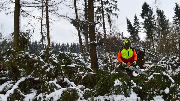 Waldarbeiter mit Motorsäge bei Aufräumarbeiten nach dem Sturm "Friederike".