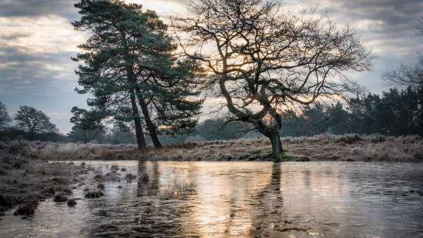 Fotowettbewerb „Lebendige Gewässer in Nordrhein-Westfalen“