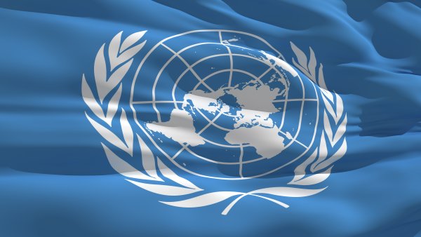 Bild zeigt die Flagge der UN