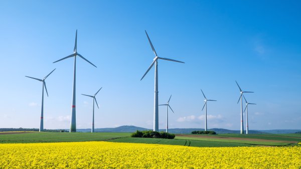 Bild Windräder auf gelber Wiese