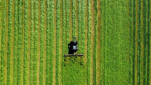 Luftaufnahme eines Traktors, der in parallelen Bahnen ein großes grünes Feld mäht. Die gleichmäßigen Streifen im Gras erzeugen ein grafisches Muster aus verschiedenen Grüntönen.