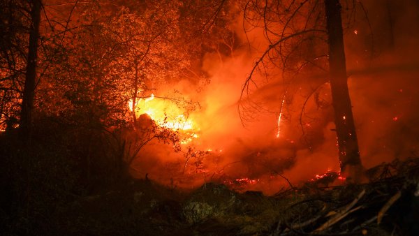 Waldbrand mit Glutnest, Wasserstrahl von der Seite