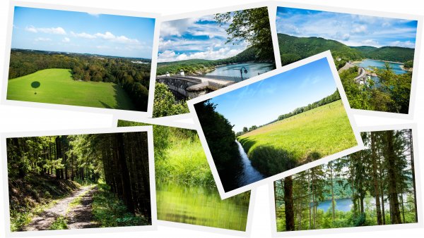 PHB Fotowettbewerb Natur NRW