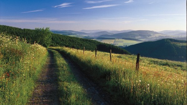 Das Bild zeigt einen Wanderweg im Sauerland.