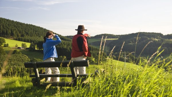 Bild Sauerland