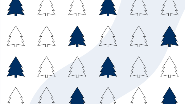 Jeder dritte Weihnachtsbaum stammt aus Nordrhein-Westfalen