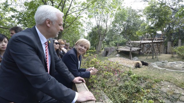 Ministerpräsidentin Hannelore Kraft und Wirtschaftsminister Garrelt Duin schauen auf Pandas im Gehege