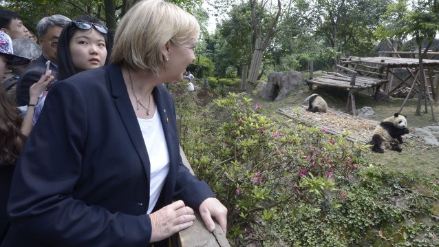 Ministerpräsidentin Hannelore Kraft schaut auf Pandas im Gehege
