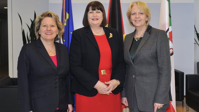 EU-Kommissarin empfangen, 07.03.2013