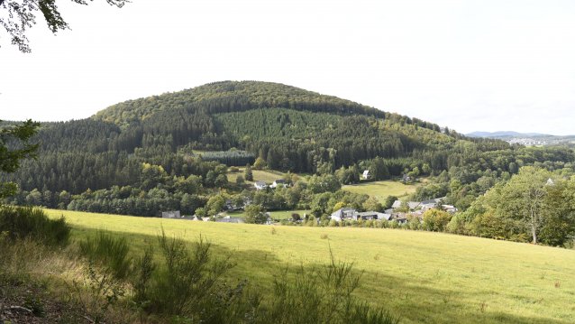 Landesregierung beschließt Programm für die Zukunft des Waldes in Nordrhein-Westfalen