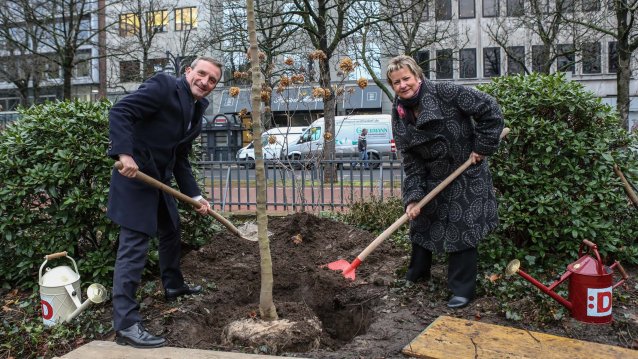 Nordrhein-Westfalen-Baum für Düsseldorf