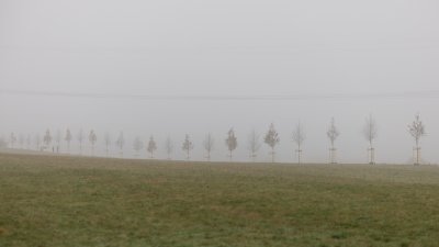 Ministerpräsident Hendrik Wüst pflanzt Erinnerungsbaum im Gedenken an die Opfer der Hochwasserkatastrophe in Nordrhein-Westfalen