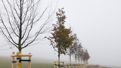 Ministerpräsident Hendrik Wüst pflanzt Erinnerungsbaum im Gedenken an die Opfer der Hochwasserkatastrophe in Nordrhein-Westfalen
