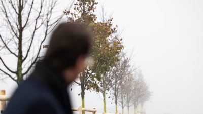 Ministerpräsident Hendrik Wüst pflanzt Erinnerungsbaum im Gedenken an die Opfer der Hochwasserkatastrophe in Nordrhein-Westfalen