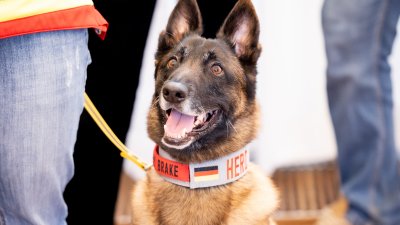 Ministerpräsident Wüst dankt nordrhein-westfälischen Helfern für Erdbebeneinsatz in der Türkei und Syrien