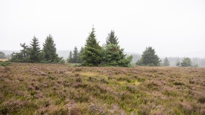 Die Ministerpräsidenten Wüst und Rhein wandern von Willingen nach Winterberg
