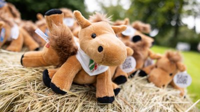 Ministerpräsident Wüst trifft Ehrenpatenkinder und ihre Familien