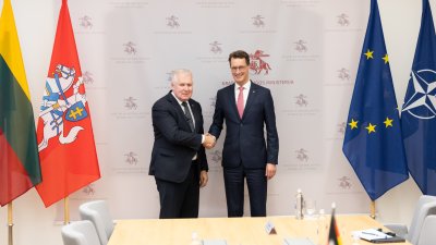 Gespräch mit dem Verteidigungsminister der Republik Litauen, Herrn Arvydas Anasauskas