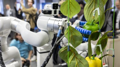 Besuch des Humanoid Robots Lab der Universität Bonn