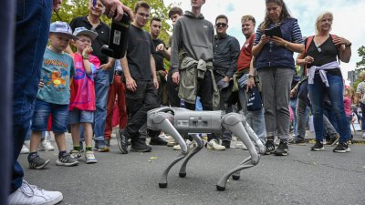 Ein Roboterhund demonstriert seine Fähigkeiten, Zuschauer stehen im Kreis