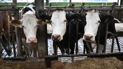 Austausch mit der Kreisbauernschaft in Geldern