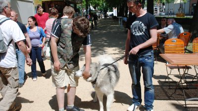 Die Vorbereitungen laufen auf Hochtouren