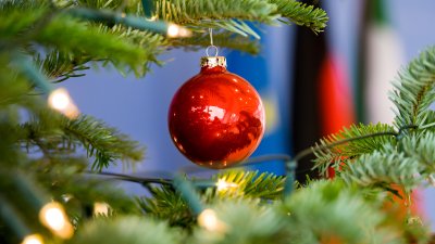 Der Ministerpräsident hat Sternsinger aus allen Diözesen zum Dreikönigssingen im Landeshaus empfangen