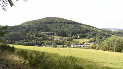 Landesregierung beschließt Programm für die Zukunft des Waldes in Nordrhein-Westfalen