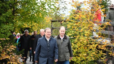 Landesregierung beschließt Programm für die Zukunft des Waldes in Nordrhein-Westfalen