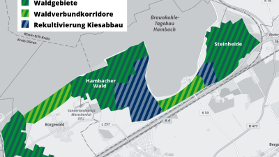 eine Karte in der die Waldgebiete, die Waldverbundkorridore und die Rekultivierung Kiesabbau farblich kenntlich gemacht wurde