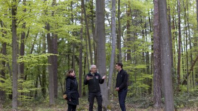 Ministerpräsident Hendrik Wüst: Unser Wald ist Lebensraum und Klimaschützer Nr. 1