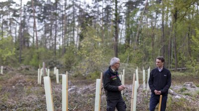 Ministerpräsident Hendrik Wüst: Unser Wald ist Lebensraum und Klimaschützer Nr. 1
