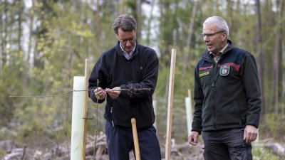 Ministerpräsident Hendrik Wüst: Unser Wald ist Lebensraum und Klimaschützer Nr. 1