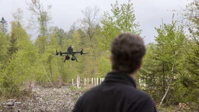 Ministerpräsident Hendrik Wüst: Unser Wald ist Lebensraum und Klimaschützer Nr. 1