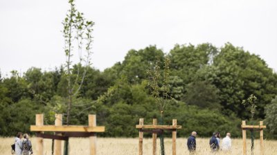 Begegnung mit Angehörigen von Opfern der Flutkatastrophe 2021 an den zu deren Ehren gepflanzten Bäumen in Blankenheimerdorf