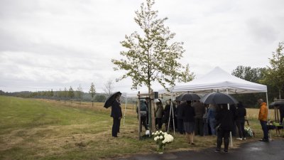 Begegnung mit Angehörigen von Opfern der Flutkatastrophe 2021 an den zu deren Ehren gepflanzten Bäumen in Blankenheimerdorf