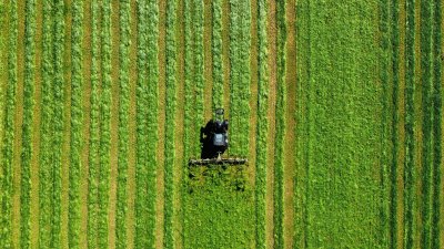 Luftaufnahme eines Traktors, der in parallelen Bahnen ein großes grünes Feld mäht. Die gleichmäßigen Streifen im Gras erzeugen ein grafisches Muster aus verschiedenen Grüntönen.