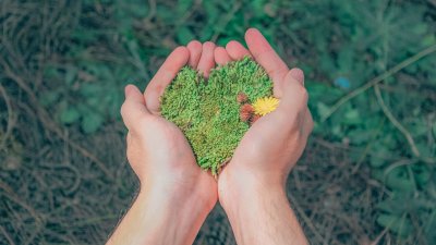 Hände in einer natürlichen Umgebung, die herzförmigen Moos halten, was die Liebe zur Natur symbolisiert.