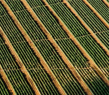 Acker, Landwirtschaft, Feld, Öko