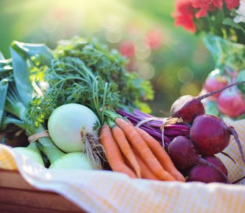 Gemüse, Ernährung, Landwirtschaft, Anbau, Bio, Öko, Gemüsekorb