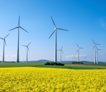 Bild Windräder auf gelber Wiese