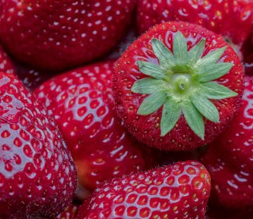 Nahaufnahme mehrerer frischer, glänzender Erdbeeren mit sichtbaren Kernen und saftiger Oberfläche. Eine Erdbeere liegt mit ihrer grünen Blattkrone nach oben und hebt sich deutlich von den anderen ab.